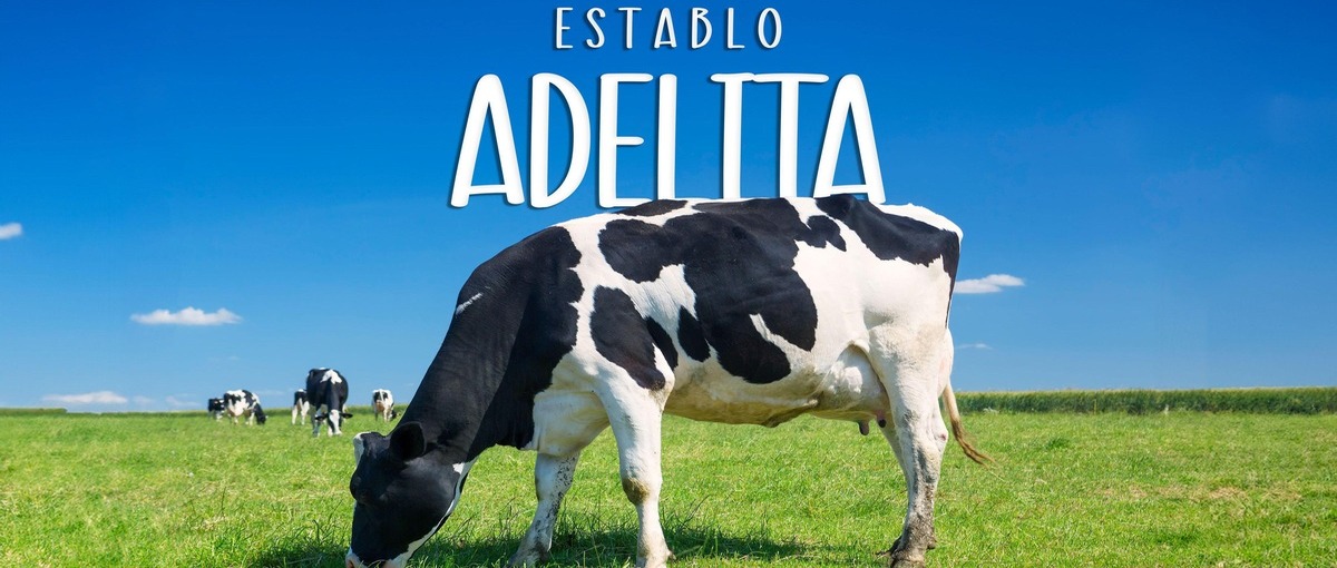 imagen de portada